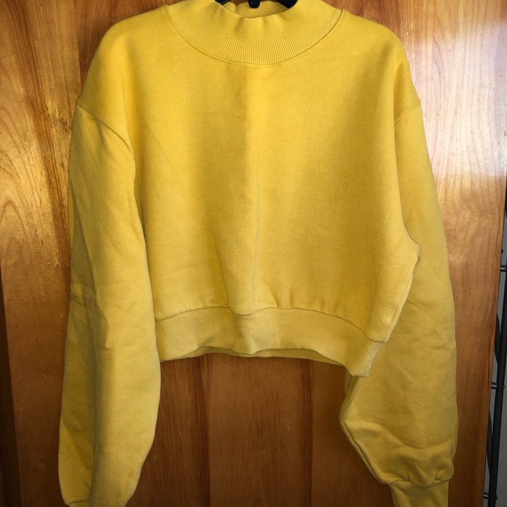 NWT Toby heart ginger cropped sweatshirt